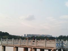 -洛龙公园