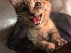 -时光转角咖啡馆(西康路店)