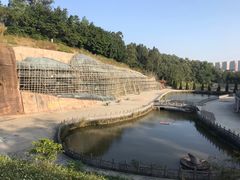 -三水森林公园