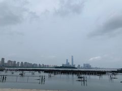 -金鸡湖景区