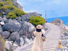-广东惠东海龟国家级自然保护区