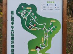 -都江堰中华大熊猫苑