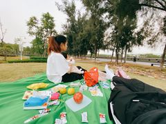 -宝安西湾红树林湿地公园