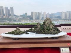 -重庆市江北嘴中央商务区中央公园