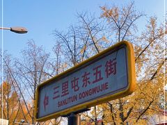 -三里屯东五街银杏大道
