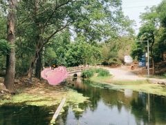 -白水寺森林公园