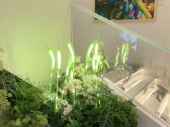 -Mezomd曼索蒂西班牙餐厅(广粤店)