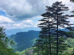 -朱雀国家森林公园