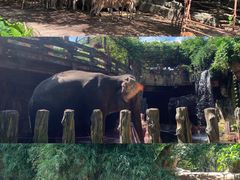 -长鹿旅游休博园