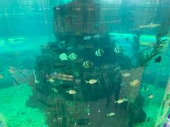 -鸿通城购物中心