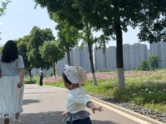 -洋湖国家湿地公园
