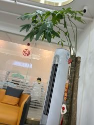 -新雨池不针清祛痘