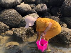 -硇洲岛旅游区