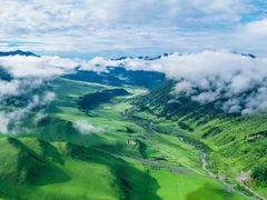 -牛市口盲人按摩