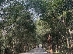 -灵谷景区