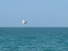 -青海湖二郎剑景区