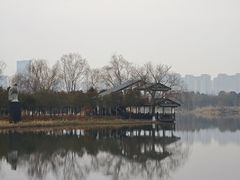 -洋湖国家湿地公园