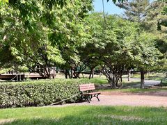 -海德公园