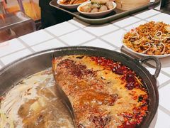 -朱光玉火锅馆(正弘城店)