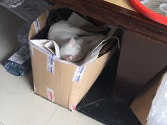 -绿丰干洗(解放东路店)