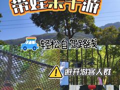 -广州市帽峰山景区