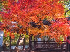 -惠山古镇·寄畅园