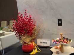 -上海玫瑰医疗美容医院