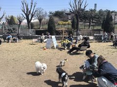 -小意思咖啡店(草桥店)