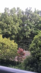 -东航云逸酒店·宴会厅