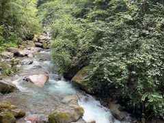 -西岭雪山大飞水景区