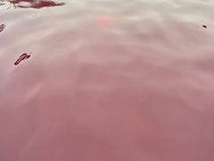 -天目湖涵田半山温泉水乐园
