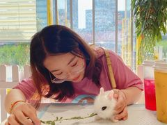 -RU DUCK柯尔鸭公社·撸鸭俱乐部·羊驼·小香猪