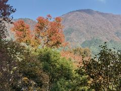 -塔川景区