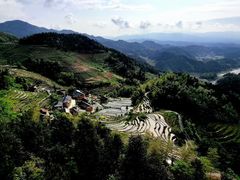 -紫鹊界梯田景区