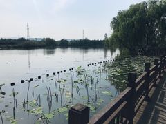 -白塔湖国家湿地公园