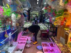 -双季花艺园艺市场(浦东店)