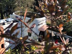 -三鹰之森吉卜力美术馆