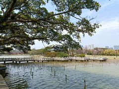 -江心屿景区