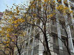 -广东食品药品职业学院(龙洞校区)