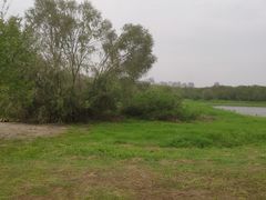 -盘龙城国家考古遗址公园