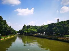 -顺峰山公园