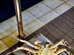 -驻海渔市(置信店)