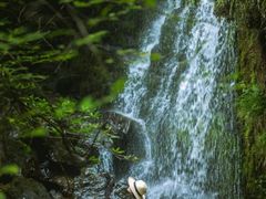 -龙苍沟森林公园