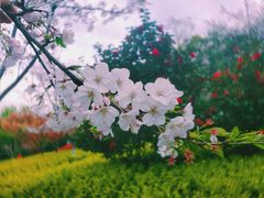 -杭州城北体育公园