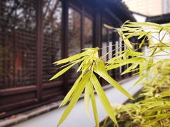 -南京市民俗博物馆(甘熙故居)