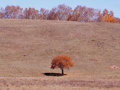 -塞罕坝国家级自然保护区