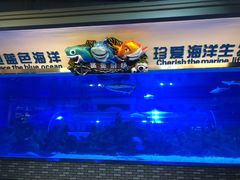 -成都浩海立方海洋公园