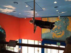 -信不信由你博物馆