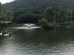 -呀诺达热带雨林