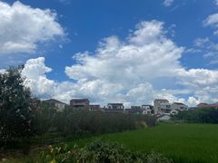 -余氏豆腐包老店(东直街店)